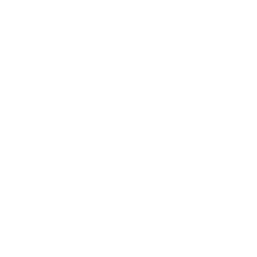 mylogo4